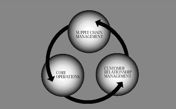 Business Process Domains